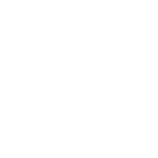 consultant